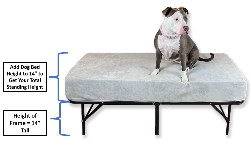 Dog bed store for your bed