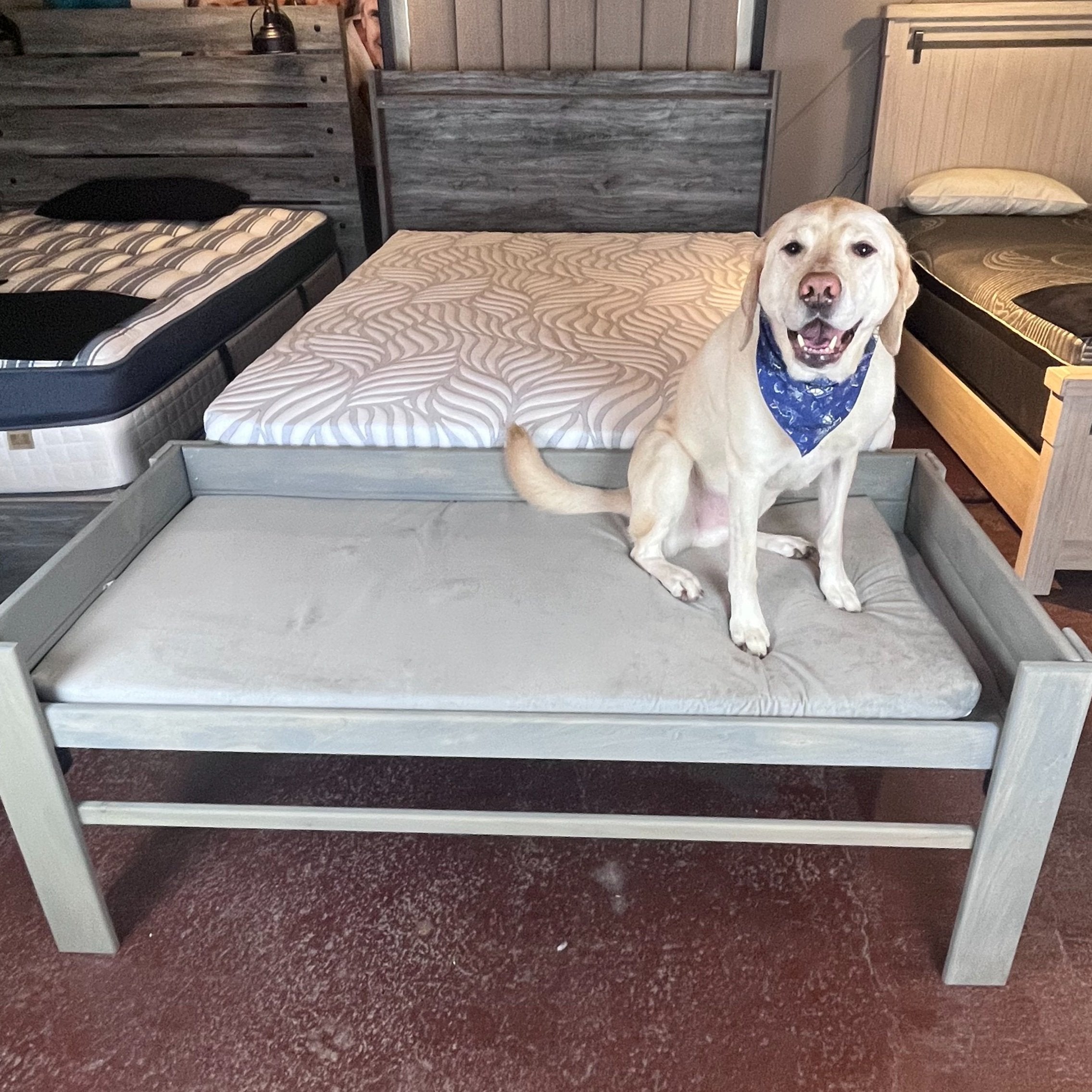 Twin hot sale dog bed